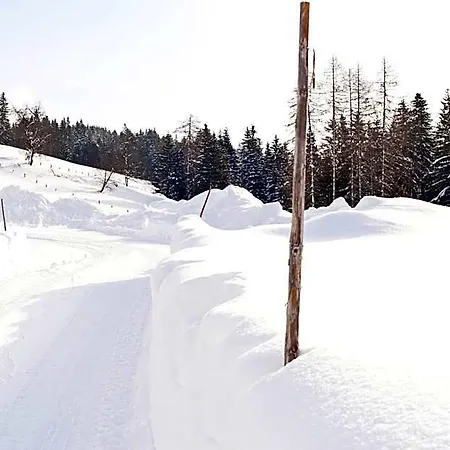 Alpenkrone 4* Filzmoos